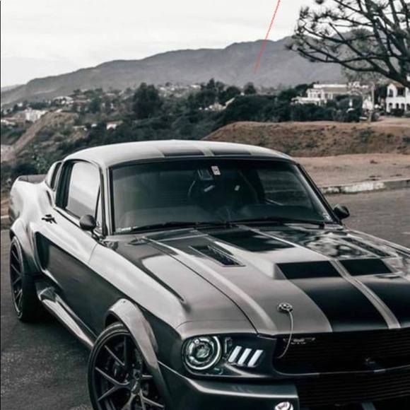 Meet your Posher, Rinks - Picture 3 of 8